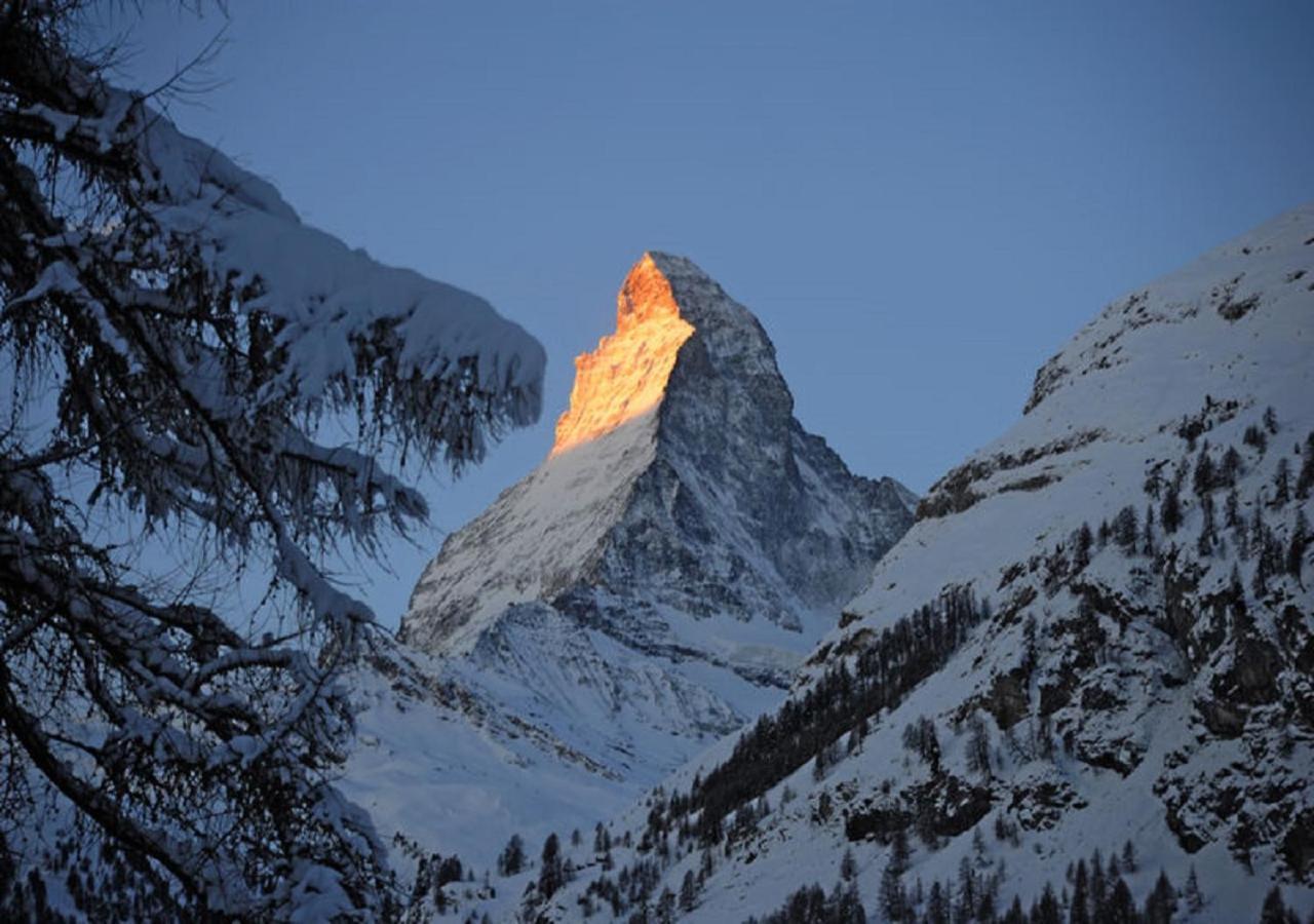 Apartment Brunnmatt Zermatt Exterior photo